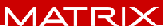 Primary Raster logo
